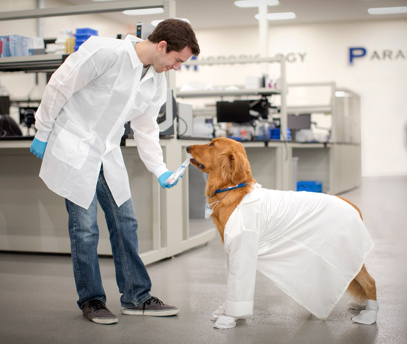 Dog and man in lab with lab coats